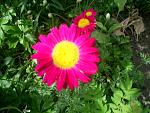     
: S4024911.jpg
: 19
:	157.1 
ID:	2711371
