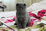     
: IMG_7041.jpg
: 32
:	86.3 
ID:	2712846