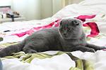     
: IMG_7056.jpg
: 37
:	77.8 
ID:	2712847