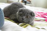     
: IMG_7083.jpg
: 39
:	72.3 
ID:	2712848