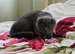     
: IMG_7076.jpg
: 30
:	95.8 
ID:	2712849