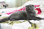     
: IMG_7053.jpg
: 31
:	76.7 
ID:	2712850