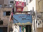     
: IMG_3981.jpg
: 79
:	156.3 
ID:	2712937