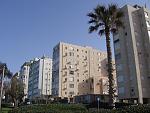     
: IMG_3424.jpg
: 40
:	151.4 
ID:	2713196
