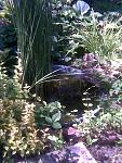     
: Фото045.jpg
: 53
:	129.2 
ID:	2713549