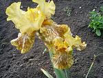     
: S4024922.jpg
: 17
:	226.1 
ID:	2714717