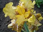     
: S4024923.jpg
: 14
:	165.1 
ID:	2714719