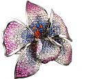     
: 824_compl.jpg
: 24
:	88.9 
ID:	2715588