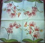     
: 30052011031.jpg
: 8
:	100.4 
ID:	2716371