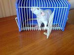     
: Фото0159.jpg
: 31
:	200.1 
ID:	2716656