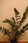    
: DSC01450.JPG
: 12
:	36.0 
ID:	2717153