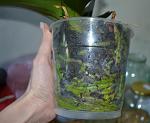     
: DSC_4337.JPG
: 64
:	93.2 
ID:	2717350