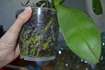     
: DSC_4338.JPG
: 45
:	94.8 
ID:	2717351