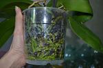     
: DSC_4336.JPG
: 90
:	99.9 
ID:	2717352