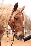     
: IMG_4325.jpg
: 28
:	108.1 
ID:	27176