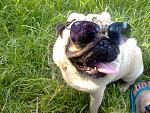     
: 25052011136-001.jpg
: 31
:	124.3 
ID:	2718396