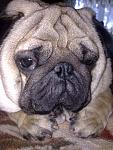     
: 18052011128-002.jpg
: 31
:	96.8 
ID:	2718397