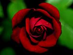     
: R15.jpg
: 13
:	53.9 
ID:	2720762