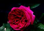     
: R17.jpg
: 15
:	64.3 
ID:	2720763