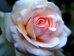     
: R18.jpg
: 18
:	78.3 
ID:	2720765