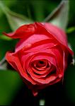     
: R14.jpg
: 12
:	50.9 
ID:	2720767