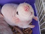     
: DSC06743.jpg
: 29
:	134.0 
ID:	2721489