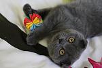     
: IMG_7125.jpg
: 22
:	74.7 
ID:	2723733