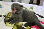     
: IMG_7110.jpg
: 19
:	83.7 
ID:	2723734
