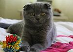     
: IMG_7146.jpg
: 21
:	89.5 
ID:	2723735