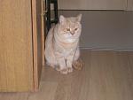     
: P1010010.jpg
: 13
:	85.9 
ID:	2726889