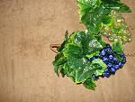     
: DSC07558.jpg
: 23
:	164.8 
ID:	2727739