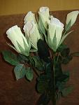     
: DSC07562.jpg
: 27
:	79.5 
ID:	2728220