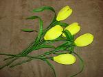     
: DSC07567.jpg
: 37
:	125.6 
ID:	2728245