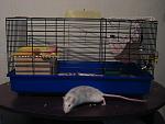     
: IMG_1067.jpg
: 37
:	97.6 
ID:	2728969