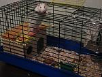     
: IMG_1070.jpg
: 41
:	128.0 
ID:	2728972