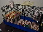     
: IMG_1071.jpg
: 38
:	124.8 
ID:	2728973