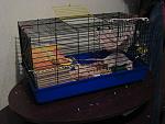     
: IMG_1069.jpg
: 38
:	103.6 
ID:	2728974