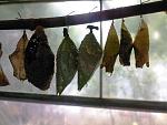     
: Фото4651_1.jpg
: 29
:	114.6 
ID:	2729314