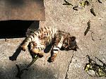     
: y_78f5ded8.jpg
: 13
:	211.1 
ID:	2729461