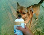     
: Djumm (106).jpg
: 20
:	175.4 
ID:	2732519