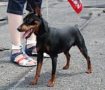     
: DSC_9754.jpg
: 19
:	218.7 
ID:	2732601