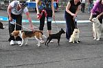     
: DSC_0599.JPG
: 21
:	184.6 
ID:	2732603
