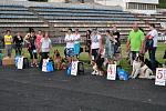     
: DSC_0622.JPG
: 40
:	184.7 
ID:	2732620