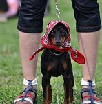     
: DSC_0295.jpg
: 50
:	96.0 
ID:	2732626