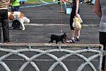     
: DSC_0309.JPG
: 46
:	187.2 
ID:	2732628