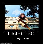     
: 863992_pyanstvo.jpg
: 9
:	41.8 
ID:	2735963