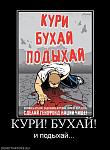     
: 659630_kuri-buhaj.jpg
: 7
:	55.2 
ID:	2735974