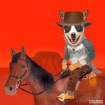     
: il_570xN.206218595.jpg
: 8
:	62.5 
ID:	2736427