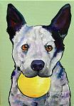     
: yellow-ball-pat-saunders-white------.jpg
: 6
:	158.0 
ID:	2736430