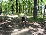     
: P5221460.jpg
: 18
:	232.4 
ID:	2736566